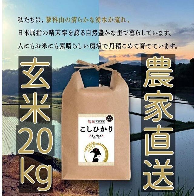 令和5年度産　20ｋg　玄米　コシヒカリ　立科町　たてしな　お米　おこめ　長野県　信州産　美味しい