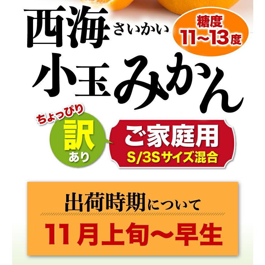 長崎 西海小玉みかん 5kg 3S〜Sサイズ混合 早生 糖度11〜13度 ちょっぴり訳あり ご家庭用 送料無料 産地直送 S常