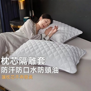 台灣出貨👑防水枕頭套 枕套 枕頭套 枕頭枕芯保護套 枕頭保潔墊 防水枕套 可水洗枕頭套 防止枕芯發黃 家用成人枕套