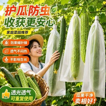 隔日達807🚚防蟲袋創意巨無霸按動筆超大圓珠筆狀元筆超按防瓜果防蟲袋防蟲袋