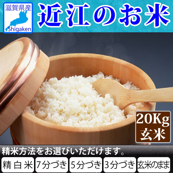 令和5年産 新米 近江のお米（滋賀県産10割）20kg玄米 (10kg2本)精米方法が選べます