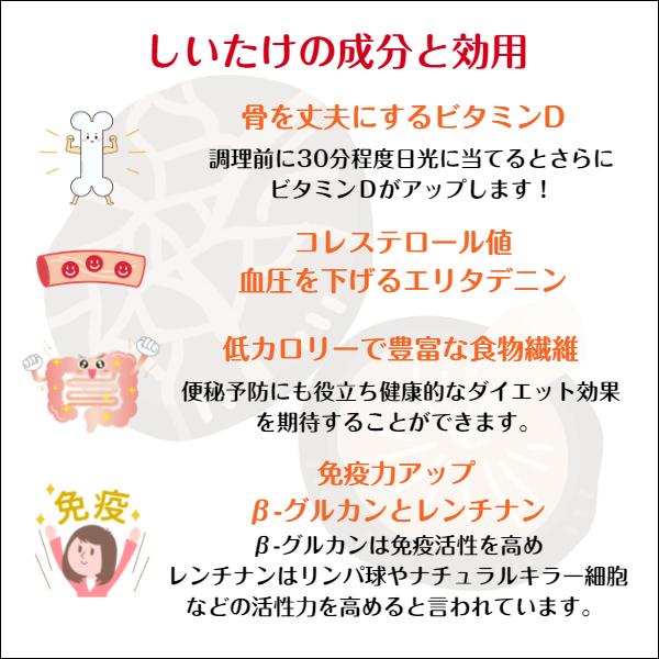 干し椎茸 国産 業務用 500g 西日本産 原木栽培 無農薬 しいたけ 干ししいたけ