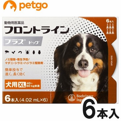 在庫処分 2箱セット 猫用フロントラインプラスキャット 6本 6ピペット 動物用医薬品 猫用品 Rollonupgaming Com