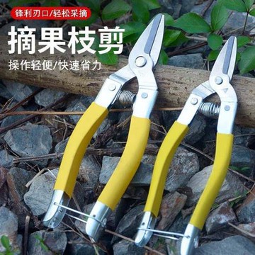 廣東羅定牌不銹鋼采果剪刀摘果剪刀沙糖柑桔剪蔬果剪果子剪修枝剪