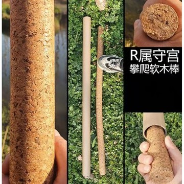 【台灣現貨】睫角守宮攀爬 攀爬軟木 攀爬物 攀爬棒 樹棲守宮 R屬守宮 藤條 睫角守宮 守宮造景 樹棲飼養箱 巨人守宮