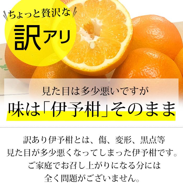 みかん 愛媛県産 伊予柑 訳あり 約10kg 2L〜3Lサイズ 30〜36個