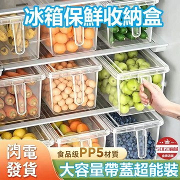 台灣現貨🌹食品級冰箱收納盒 廚房整理放蔬菜雞蛋保鮮盒 冷凍專用大容量儲物盒 冷凍雞蛋收納盒 密封收納盒 冰箱保鮮盒 置物