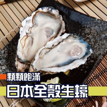【鮮綠生活】日本帶殼生蠔(5顆/包)共5包