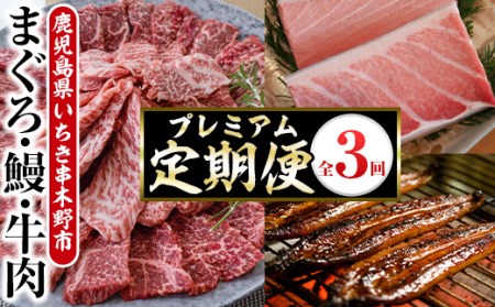 ＜3ヶ月定期便＞いちき串木野プレミアム定期便（マグロ・鰻・牛肉）