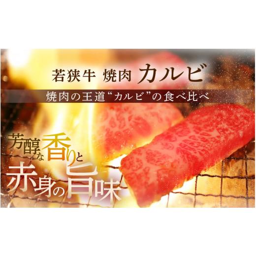 ふるさと納税 福井県 坂井市 若狭牛焼肉 カルビ食べ比べセット 計400g [B-1804]