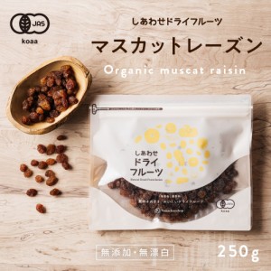 サンマスカットレーズン(250g オーストラリア産) ドライフルーツ 無添加 砂糖不使用 マスカット レーズン ノンオイル ポリフェノール 有