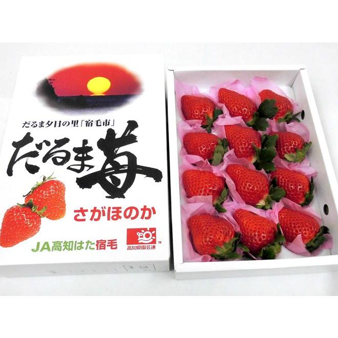 高知県宿毛産 ”だるま苺” 9〜15粒 約630g（風袋込） 化粧箱 いちご 送料無料