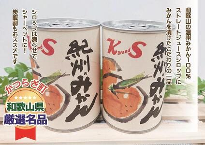 紀州のみかん缶詰（みかん果汁入りシラップ）　12缶セット