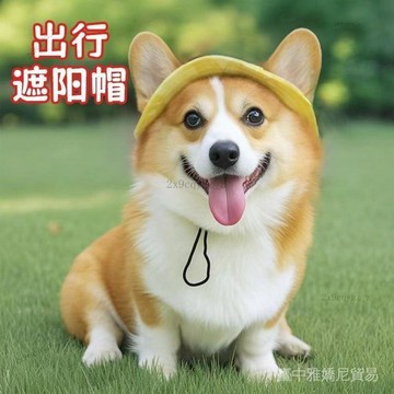 ✨可開發票#狗狗帽子露耳朵柯基小狗遮陽帽可愛拍照寵物漁夫帽貓咪防曬狗頭飾#免運費