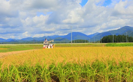 米食味鑑定士厳選新庄産雪若丸（精米）5kg 米 お米 おこめ 山形県 新庄市 F3S-1368