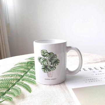 植物 青蘋果竹芋 觀葉植物 馬克杯