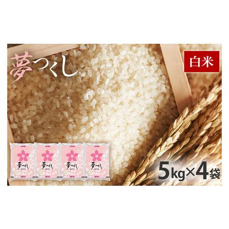 ふるさと納税 新米 令和5年産　福岡県産ブランド米「夢つくし」白米　計20kg 福岡県田川市