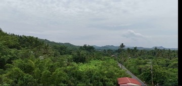 (專約)高雄內門辦桌師傅的故鄉1.6分便宜農地｜高雄市內門區東埔段