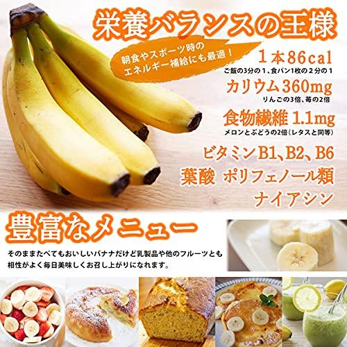 有機 無農薬 安全オーガニック バナナ 約2kg ※野菜ソムリエ監修