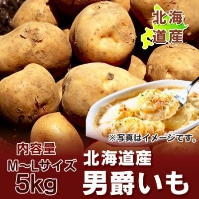 男爵いも 送料無料 だんしゃくいも 北海道 じゃがいも 男爵いも 5kg ジャガイモ MLサイズ 北海道 野菜 じゃがいも