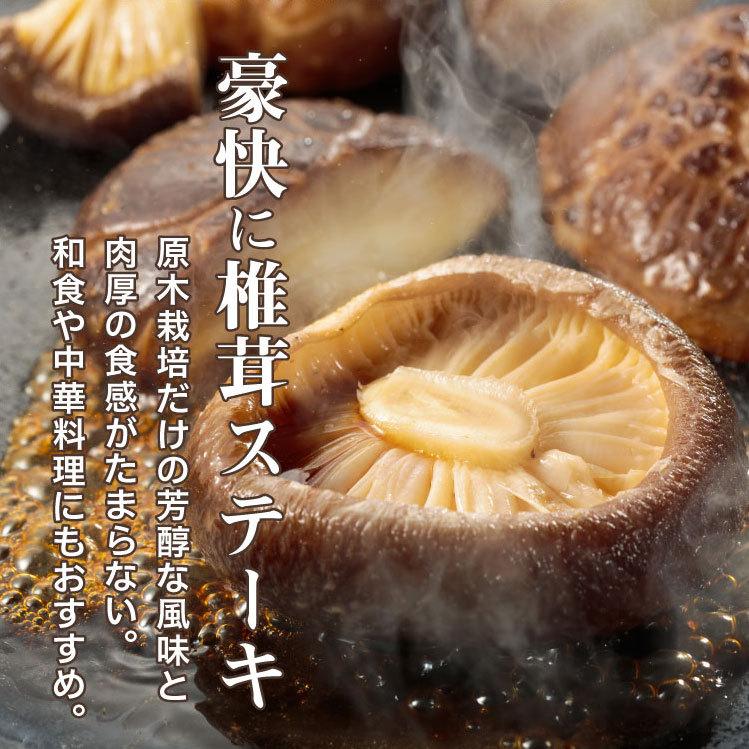 大分産 大玉どんこ 干ししいたけ 120g 木箱入 無農薬 ギフト