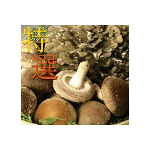 妙義 ナバファーム 椎茸 （しいたけ）500g　 舞茸 （まいたけ）１株　詰め合わせ（合計約1kg）