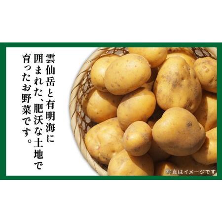 ふるさと納税 地元の農家さんが収穫した旬のお野菜 詰め合わせセット 地元の農家さんが収穫した旬のお野菜 詰め合わせセット 野.. 長崎県南島原市