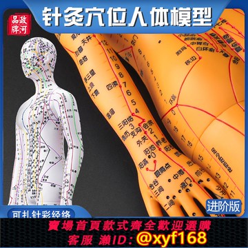 {可打統編 保固一年}男女通用針灸穴位人體模型手臂可轉數字刻度中醫教學 男女通用中醫教學