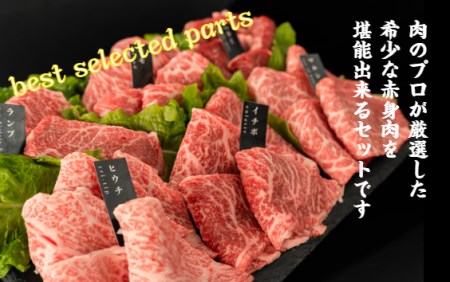 No.789 国産牛赤身希少部位焼肉セット4種盛約400g　ヒマラヤレッド岩塩100g