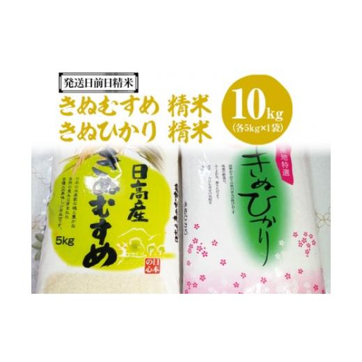 ふるさと納税 和歌山県 美浜町 （発送日前日精米）きぬむすめ(精米　5kg)、きぬひかり(精米　5kg)◆※着日指定不可