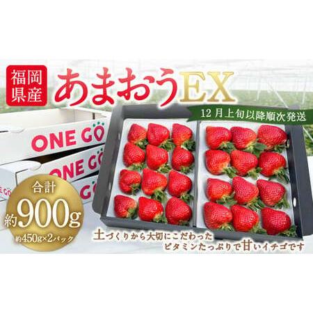 ふるさと納税 ギフト配送 福岡県産あまおう EX 約450g×2パック 〈特別栽培〉※北海道・沖縄・離島配送不可 福岡県岡垣町