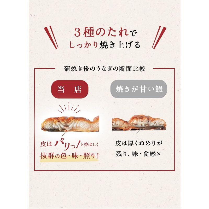 黄金屋 うなぎ長蒲焼 5尾