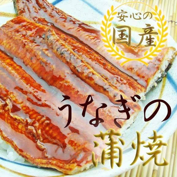 うなぎ蒲焼　1尾入　冷凍　静岡県産(養殖)　ギフト　父の日　土用　丑の日