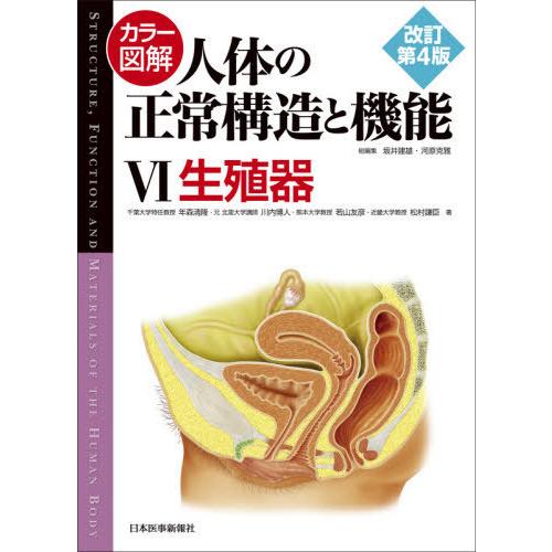 カラー図解 人体の正常構造と機能 生殖器 年森清隆