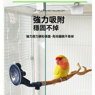 🔥鸚鵡專屬🔥鸚鵡站桿 鸚鵡磨爪站棍 鸚鵡外出站桿 鳥類站架 鳥籠配件 鳥類玩具鸚鵡吸盤站桿車載站桿吸盤杜鵑根站棒外出便攜