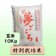 特別栽培米 10kg(夢ごこち)