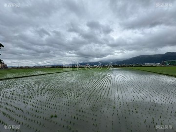 礁溪蒔朝水鳥保護區嘟嘟好足坪農地水鳥保護區｜宜蘭縣礁溪鄉朝陽段