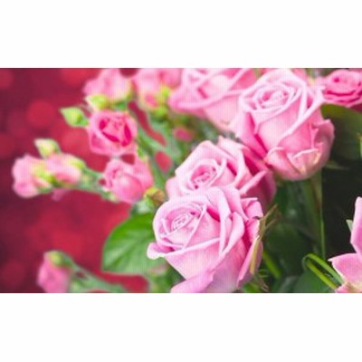 時間指定不可 壁掛け インテリア 絵 壁紙 花柄 花 フラワー 油絵 パターン バラ 薔薇30cm 1cm 長方形 エンボス 凸凹 アクセントクロス 日本製 ハンドメイド 木枠 壁紙 装飾フィルム Purenaturefoodsco Com