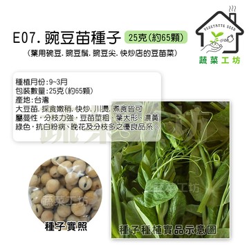 蔬菜工坊 E07.豌豆苗種子25克(約65顆)(台中15號)大豆苗 大豆芽 葉用碗豆.豌豆鬚.豌豆尖 快炒豆苗
