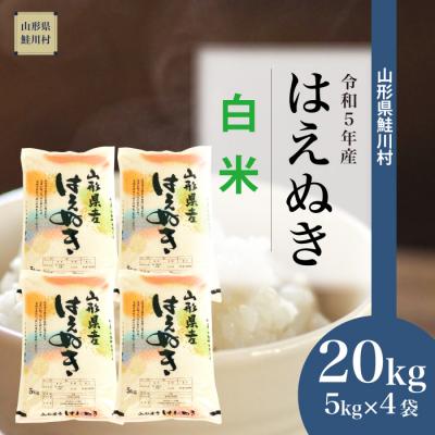 ふるさと納税 鮭川村 令和5年産 鮭川村 はえぬき  20kg (5kg×4袋)