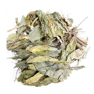 【人蔘葉►共1組(600g/組)】滋補強身▪調整體質▪營養補給▪生津止渴▪無咖啡因