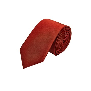 絲質素面配襯領帶/鐵鏽紅色 | 3610090034