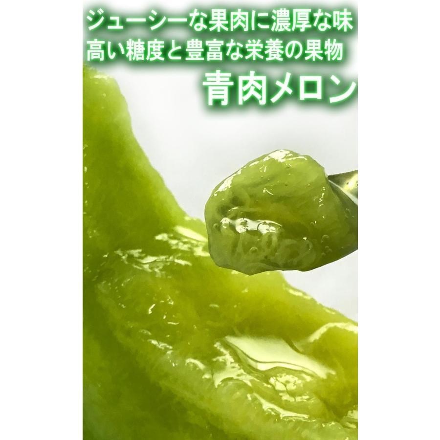 青肉メロン 2〜3玉 訳あり品 茨城・熊本県産中心 露地栽培 家庭用 アンデス・タカミ・キスミー等 旬の味わいをお届け！