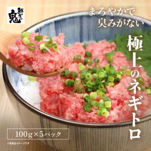 まぐろ好き集合！天然まぐろ ネギトロ 500g (100g×5パック) 小分け ねぎとろ マグロ 鮪 ギフト プレゼント