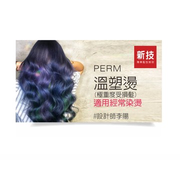 【新技專業髮型美容】【溫塑燙】極重度受損髮(適用經常染燙)
