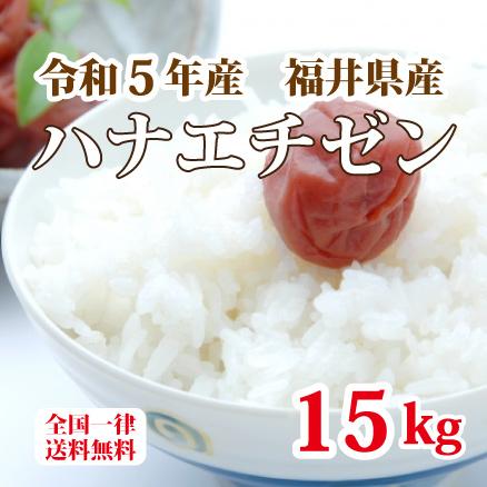 令和５年産 福井県産ハナエチゼン 15kg 白米 安い 5kg×3 ブランド米 単一原料米 送料無料