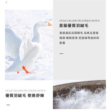 羽絨被 加厚 保暖 冬被 被芯 白鵝絨 旅店 單人 鴨絨被 冬天 春秋 被子