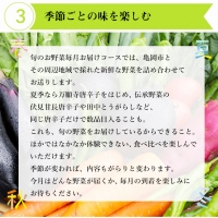 旬の京野菜 特選 毎月お届けスペシャルコース（全12回）＆『葉酸たまご』10個入り×1パック×3回分付き※沖縄・離島・諸島へのお届け不可