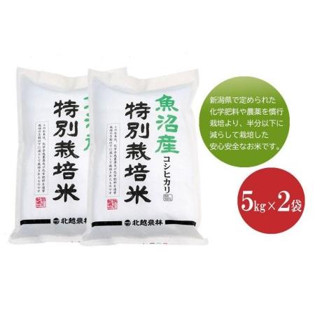 ふるさと納税 魚沼産コシヒカリ 特別栽培米10kg 新潟県認証米 令和5年産 新潟県