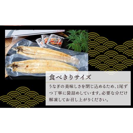 ふるさと納税 極上国産うなぎ四万十桜　白焼き2尾セット　食べきりサイズです 高知県南国市